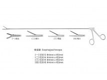 /食道钳